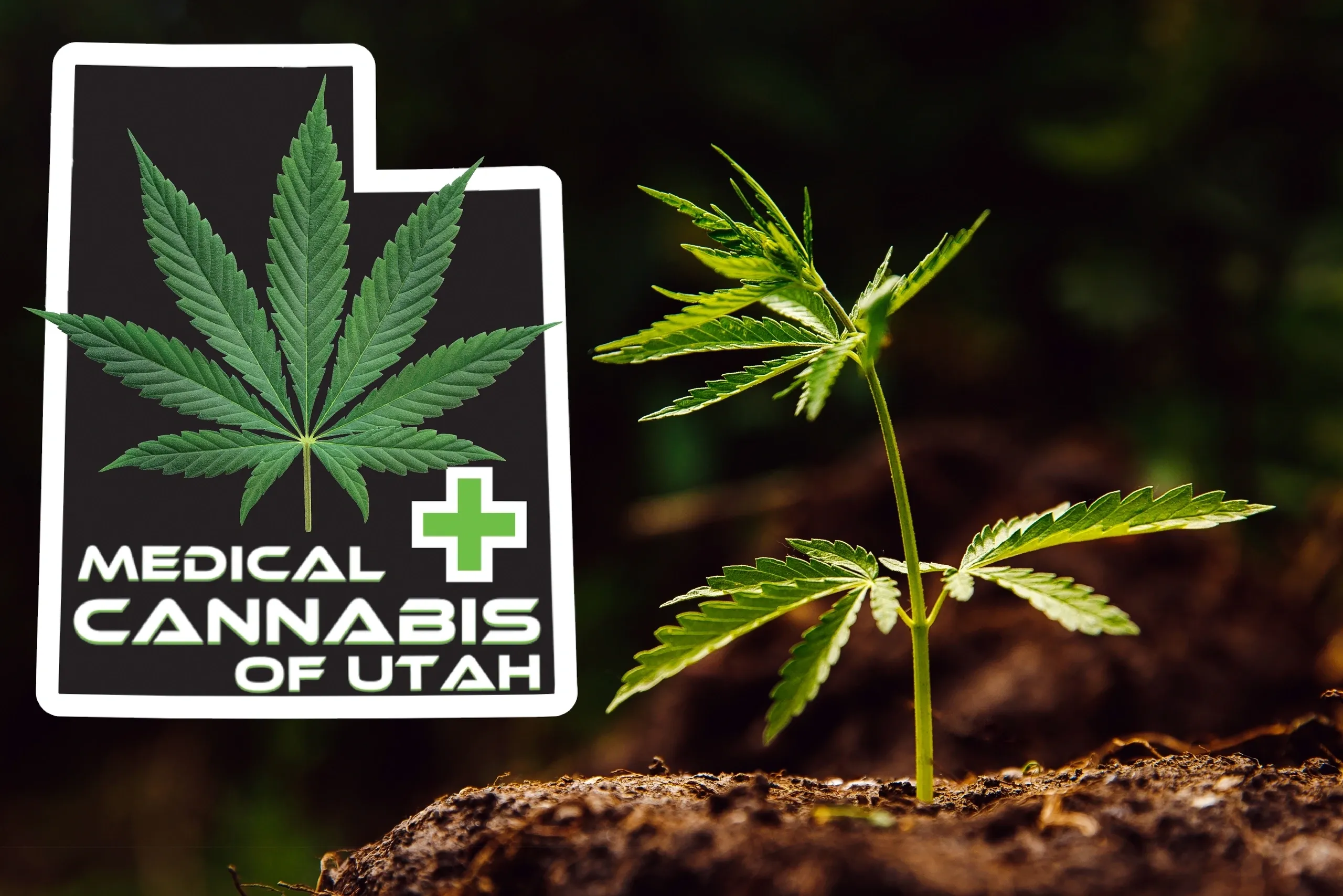 Understanding Cannabis Legality in Utah