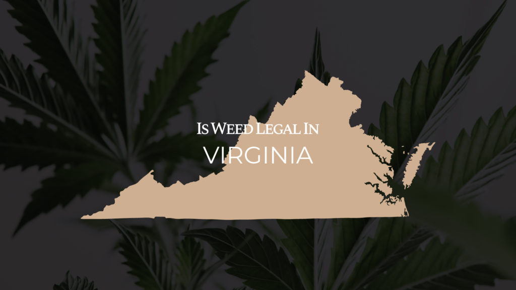 Virginia is for Cannabis Lovers: Your Guide to 2024